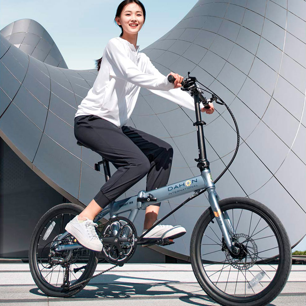Складной велосипед Daxing Zhouhui Smart M9
